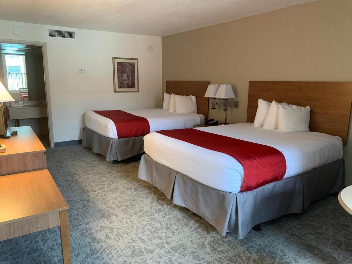 Chambre Supérieure avec 2 Lits Queen-Size - Vue sur Piscine