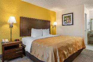 King Room,1211605648:JPEG