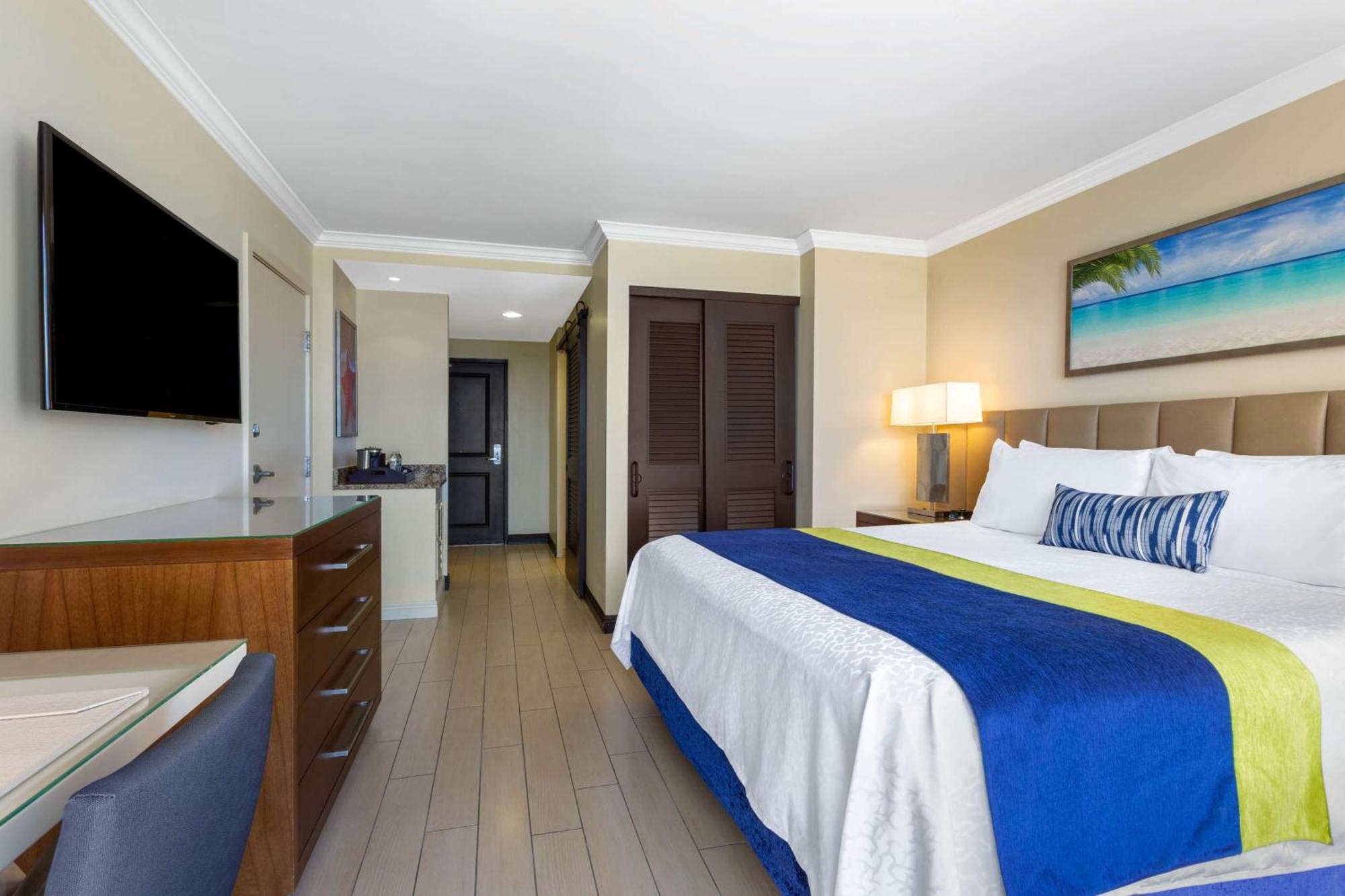 Quarto com Cama King-size, Chuveiro Acessível a Cadeirantes e Vista da Cidade - Acessível para Hóspedes com Mobilidade Reduzida/Não Fumantes
