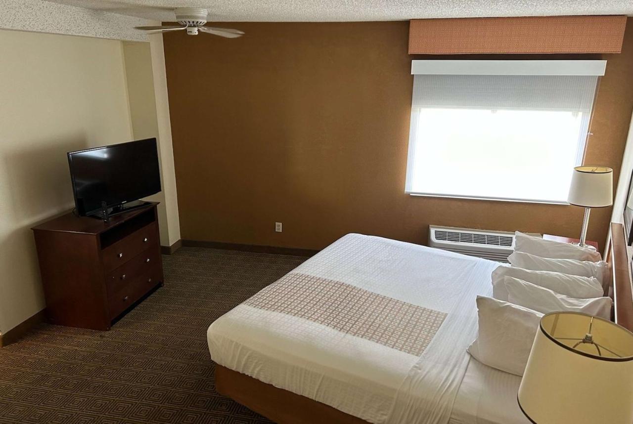 Suite King con 1 Camera da Letto - Non Fumatori
