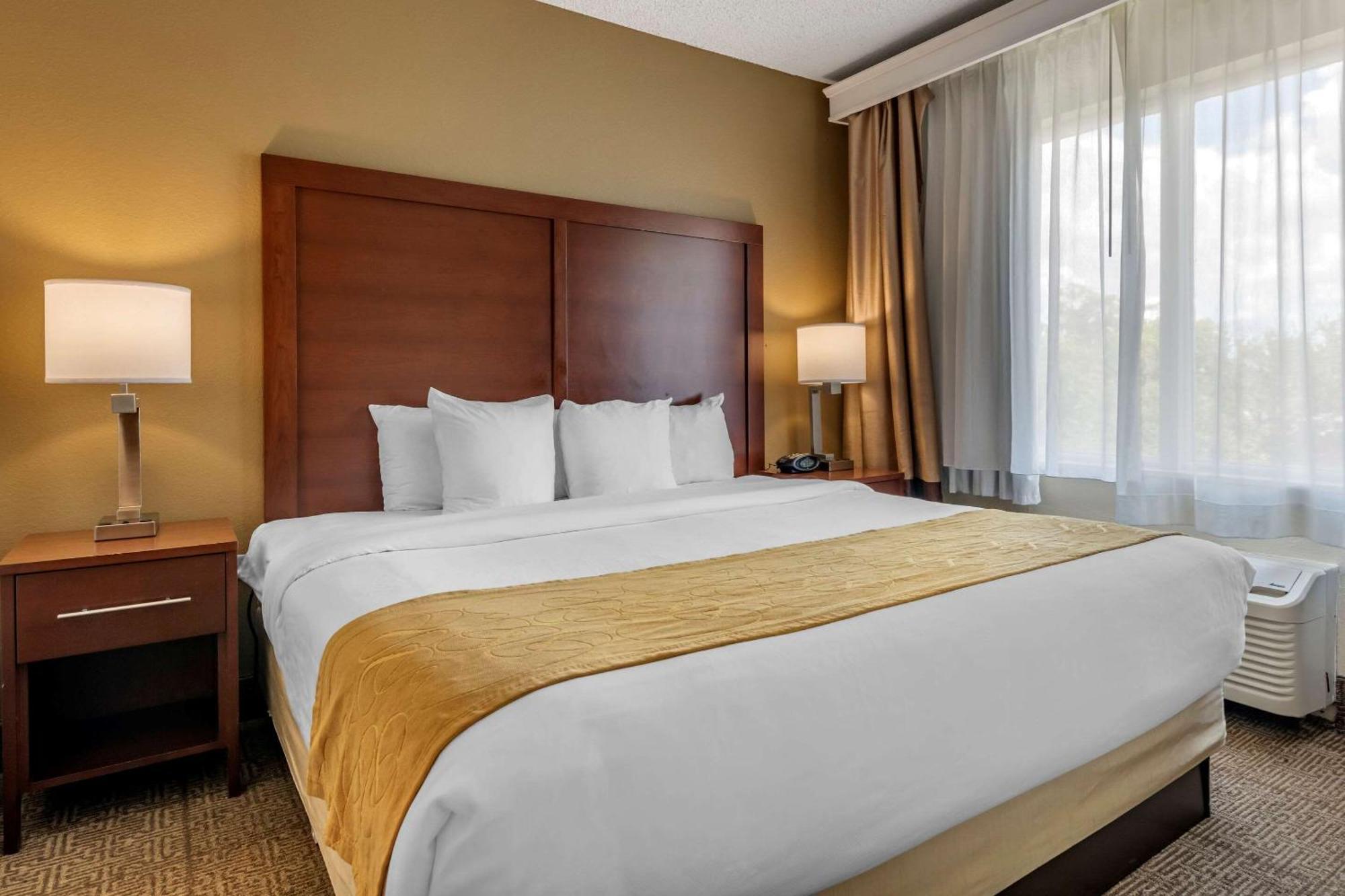 King Suite with Sofa Bed - Non-Smoking