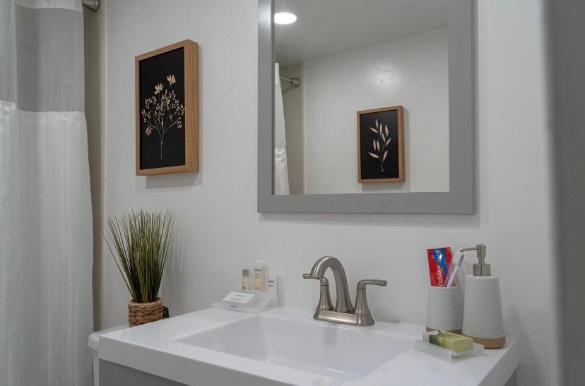 One-Bedroom Apartment,1546855465:JPEG