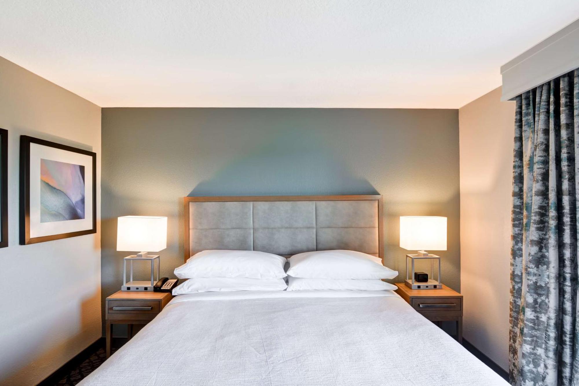 Deluxe King Suite - Non-Smoking,1551625390:JPEG