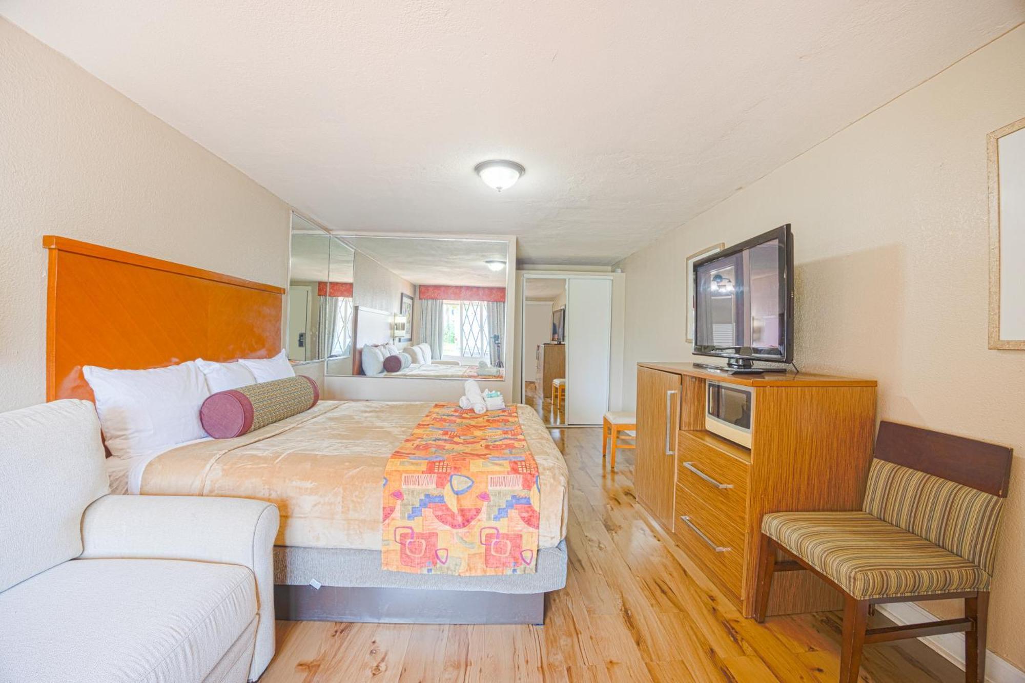Suite King Bed Non Smoking