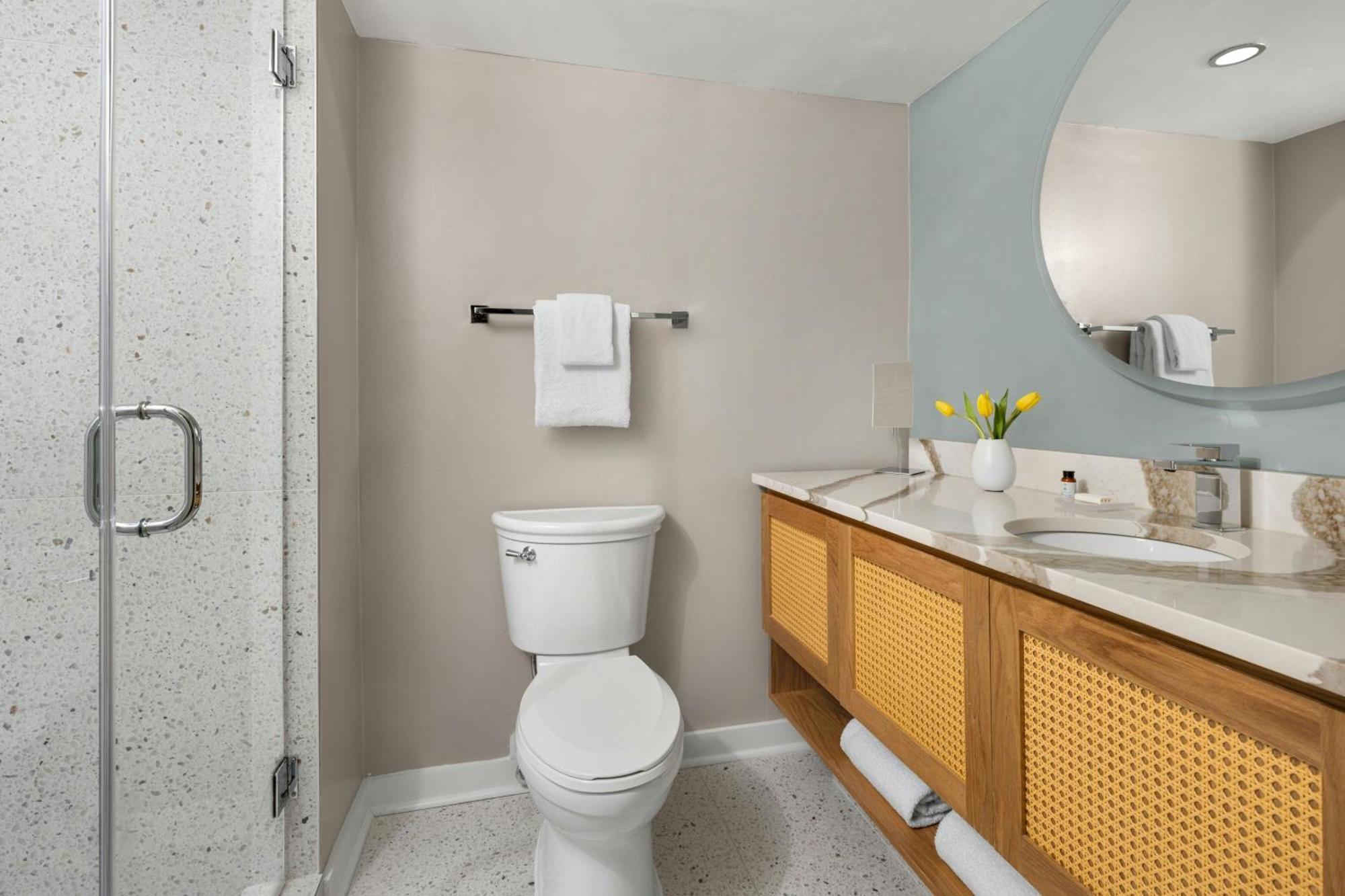 Studio with Queen Bed and Sofa Bed,1661645067:JPEG