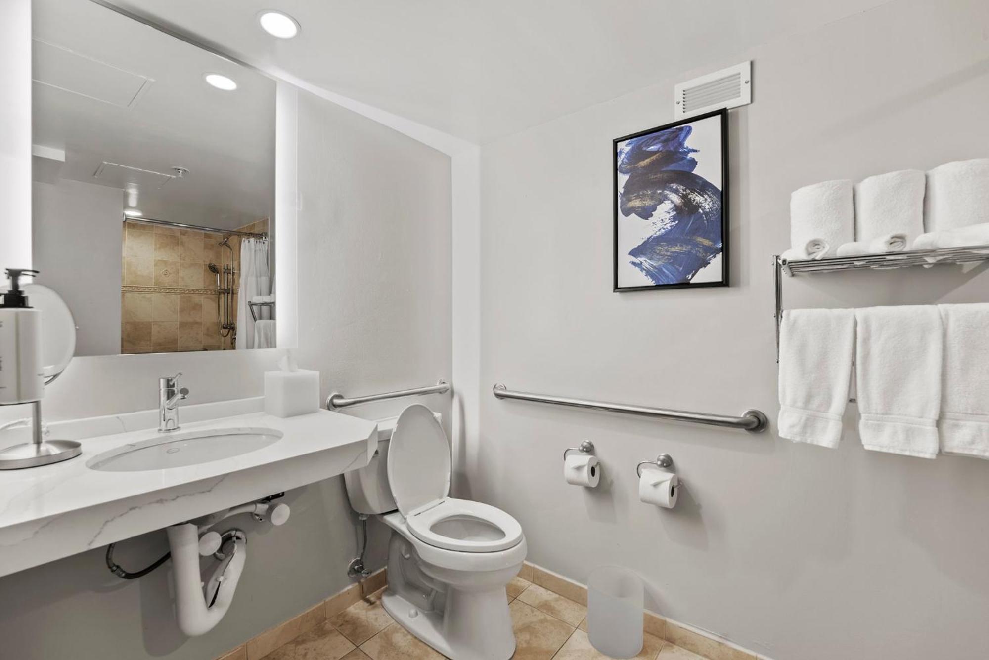 Standard King Room Mobility Accessible Roll Shower,1666645119:JPEG