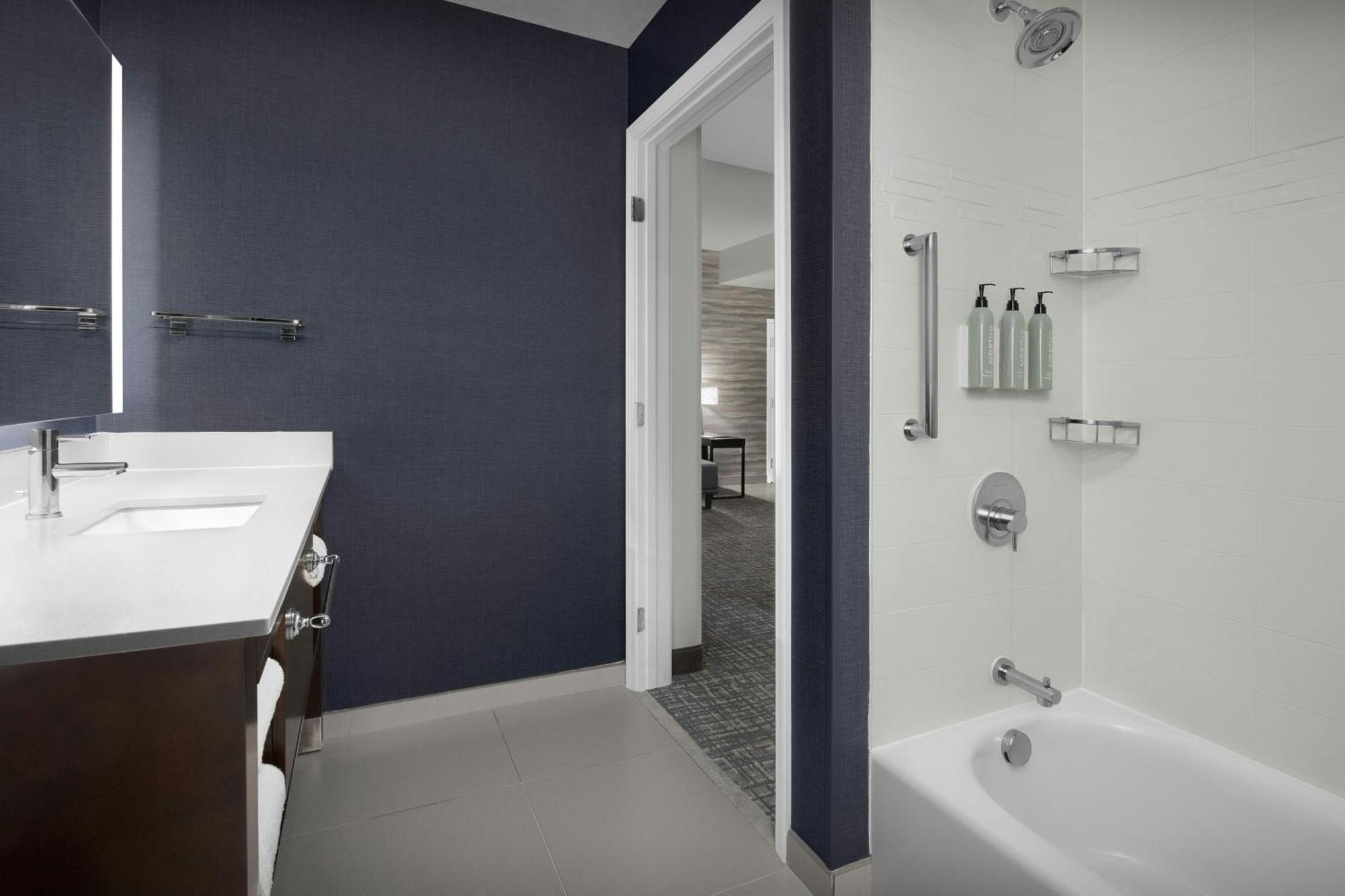 One-Bedroom King Suite