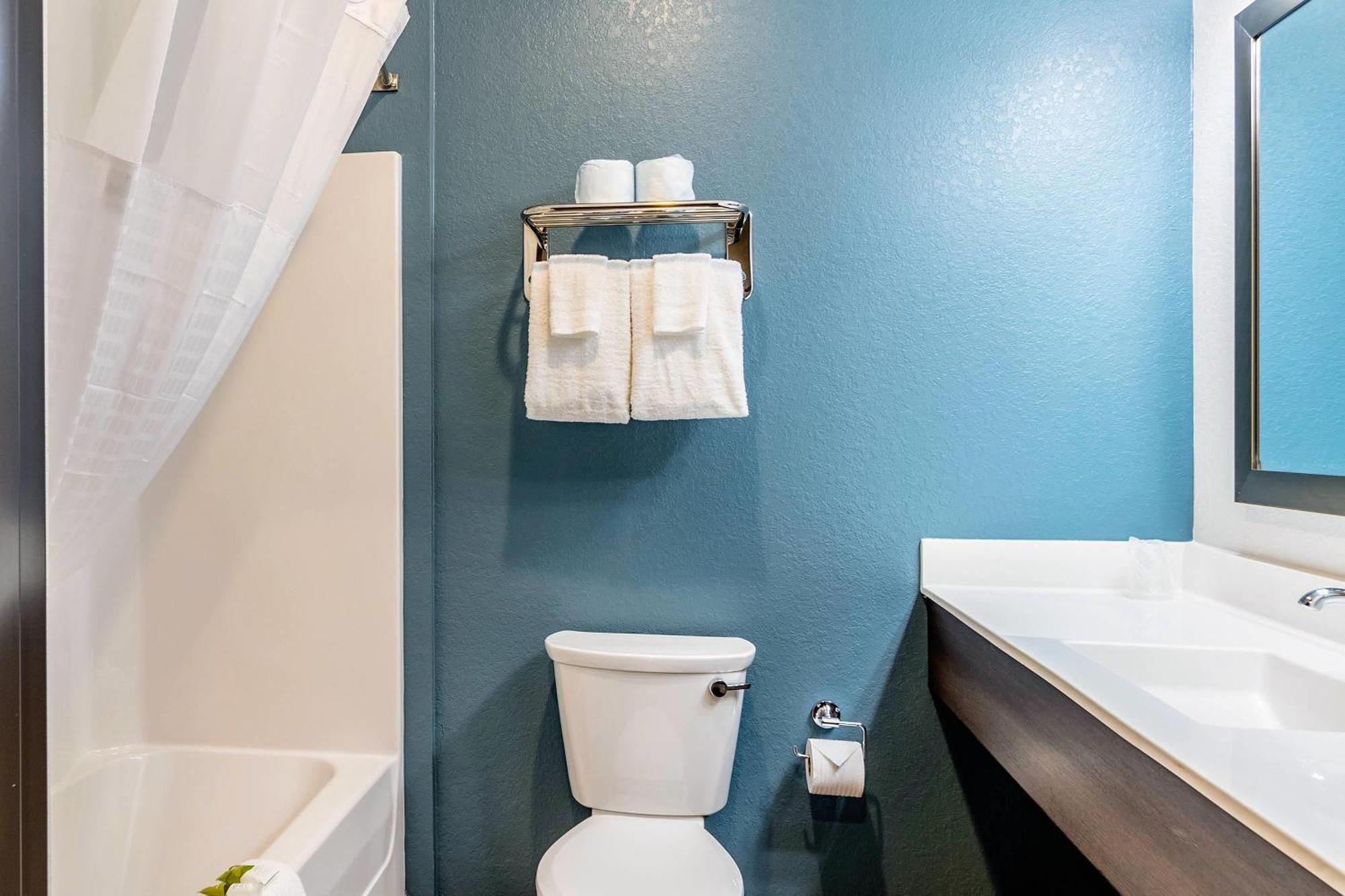 Habitación adaptada para personas con movilidad reducida, con cama grande y ducha accesible en silla de ruedas - No fumadores