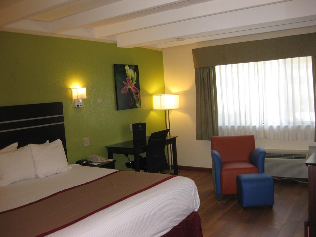 Chambre Lit King-Size - Non-Fumeurs