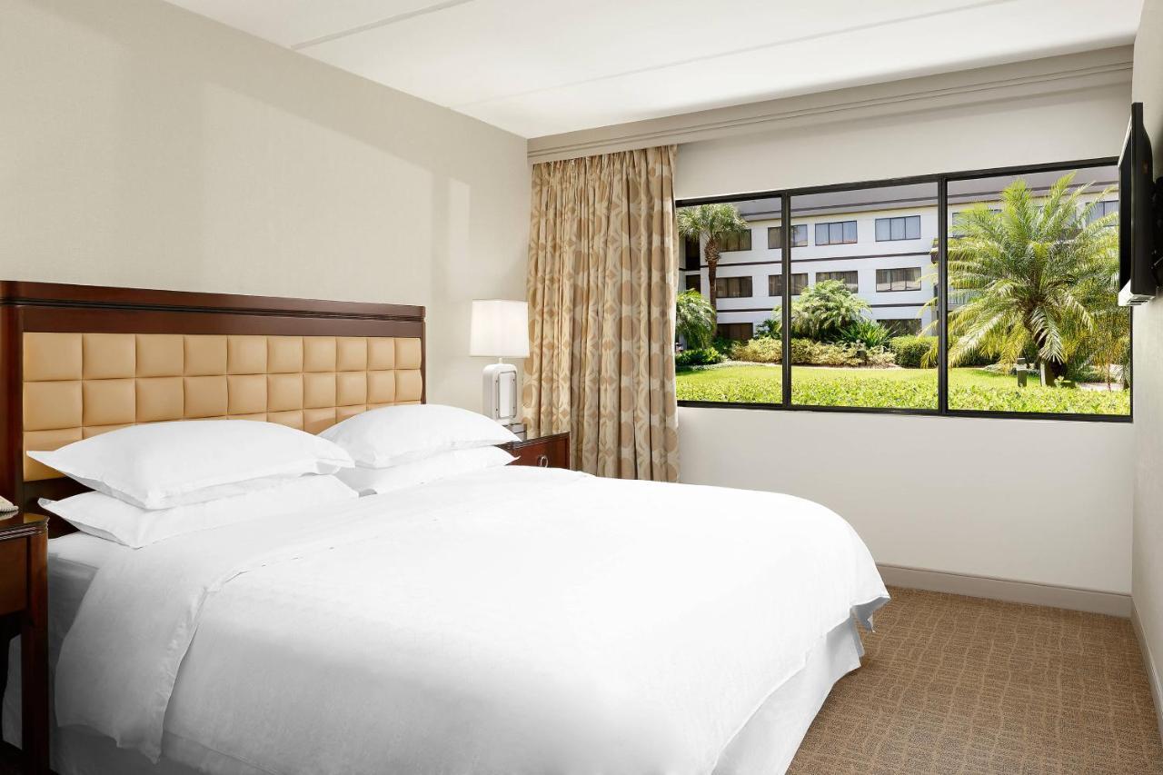 Suíte de 1 Quarto com Cama King-size e Sofá-cama