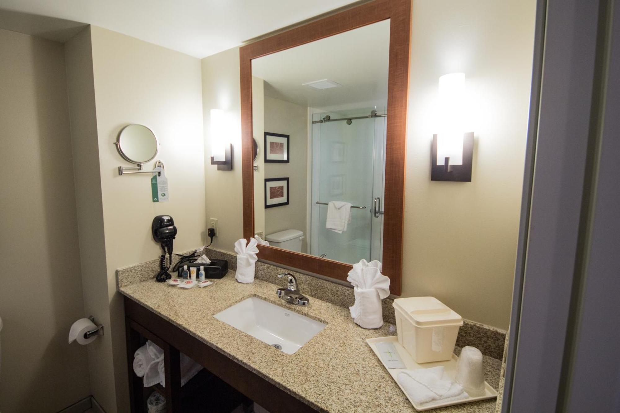 King Suite with Roll in Shower - Accessible/Non-Smoking