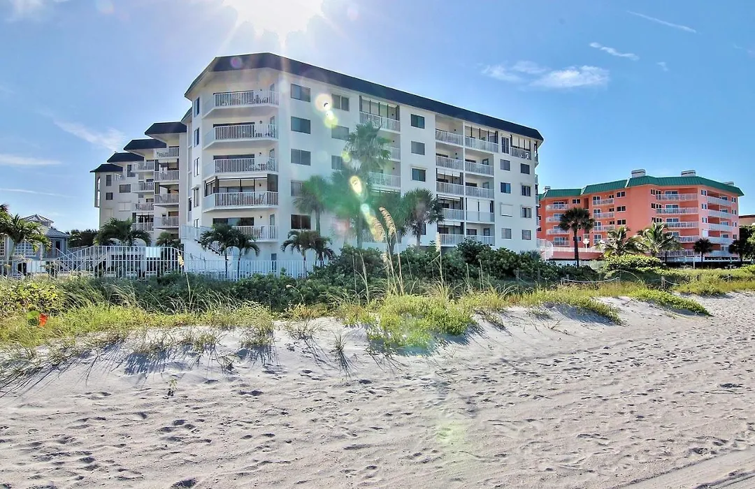 Beach Palms 108-1