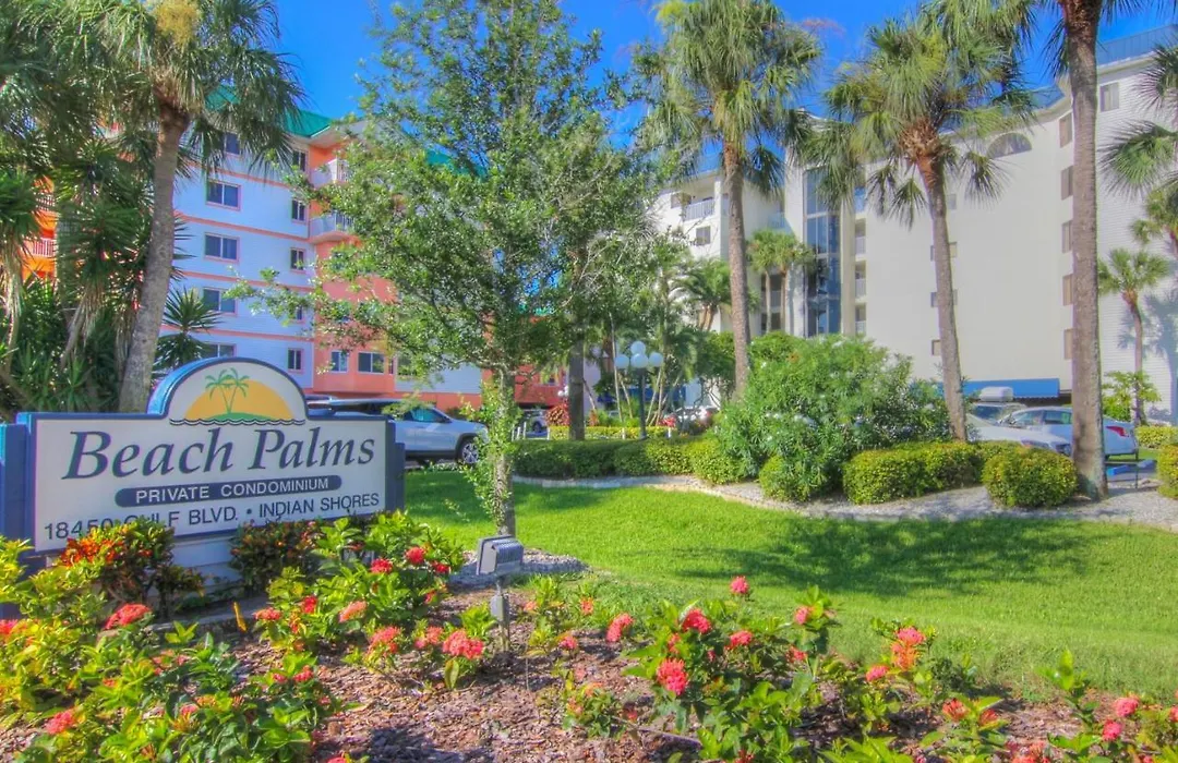 Beach Palms 508-1