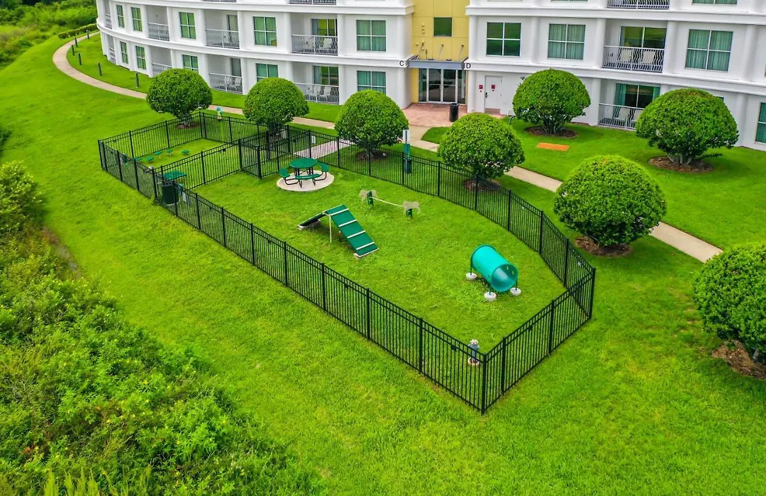 Pet Friendly In Orlando Area Near Disney-1