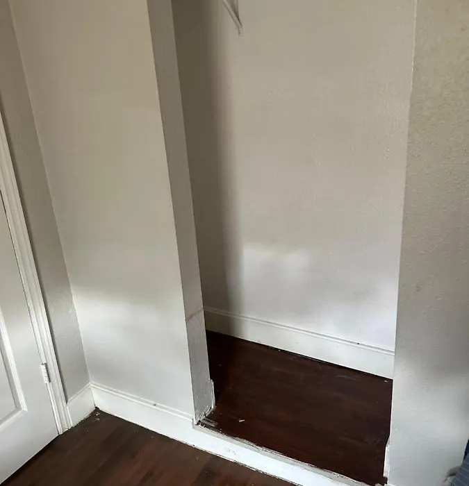 Next Level Properties-1