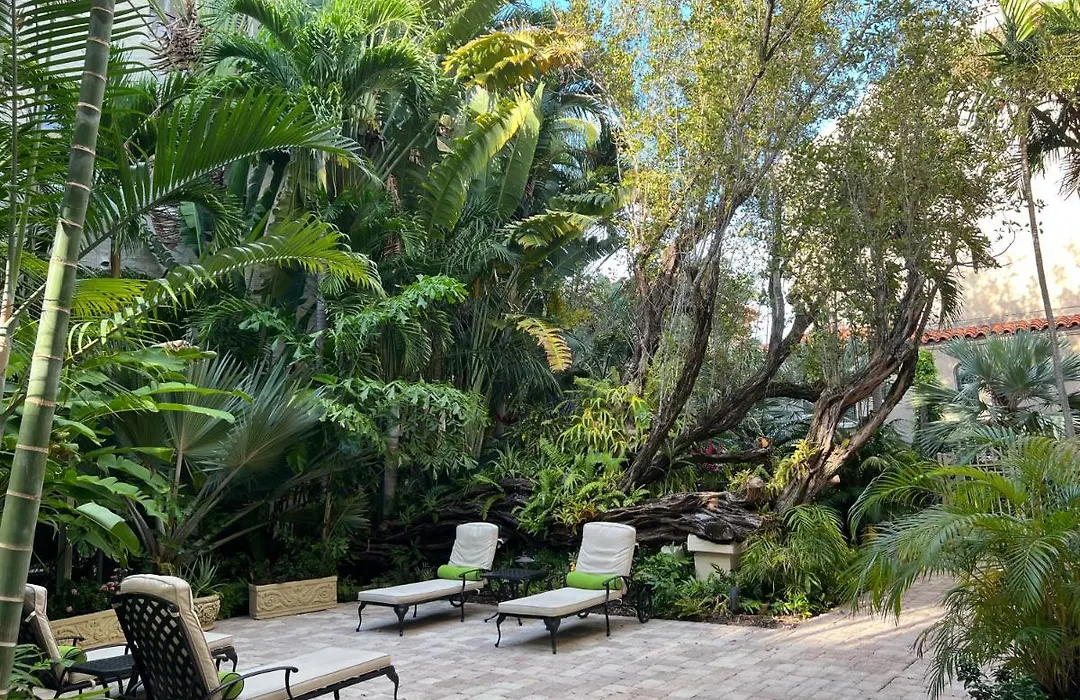 Blue Orchid Apartment-Palm Beach-Pool-1