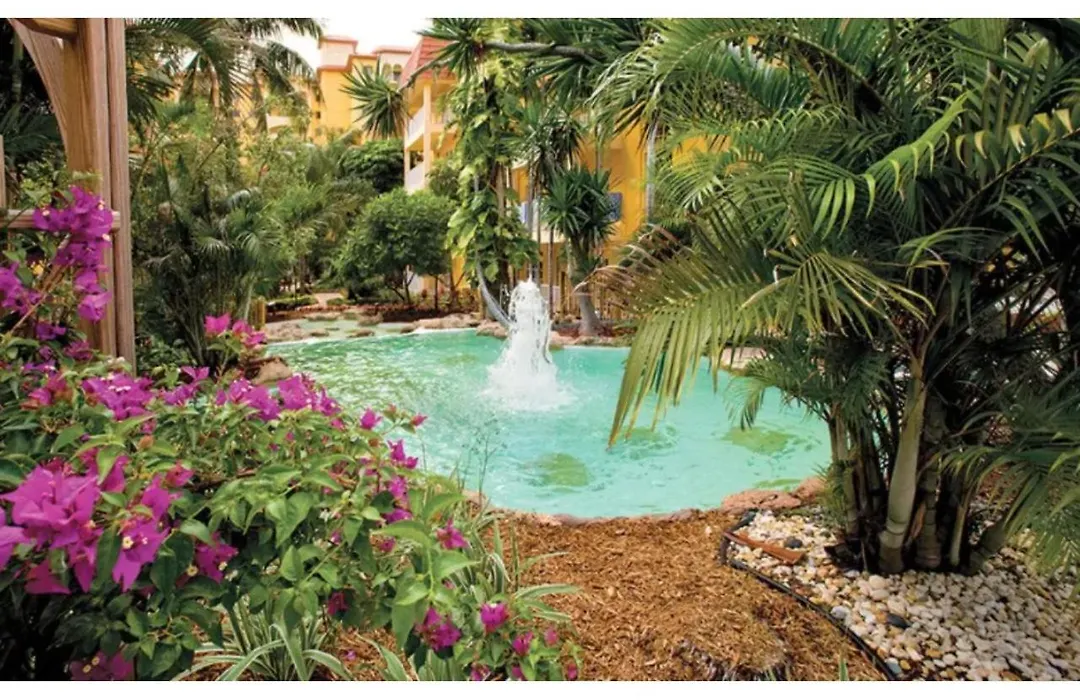 Discover The Charm And The Sea Gardens, An Exceptional Gold Coast Studio Condo Retreat - Special Offer Now!-1