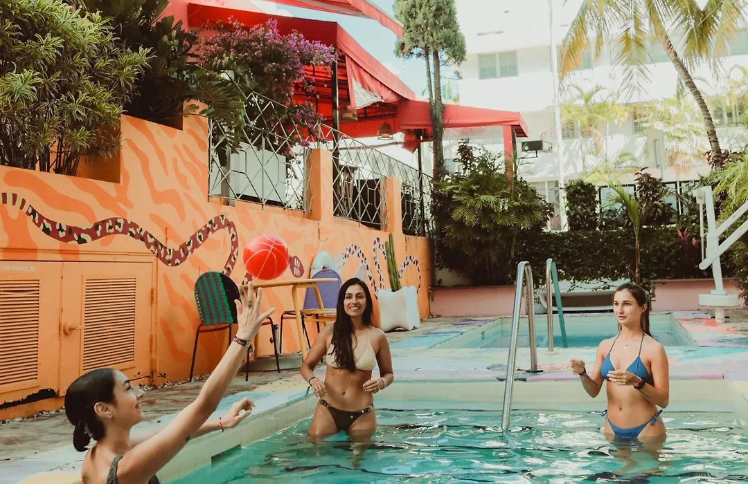 Viajero Miami (Adults Only)-1