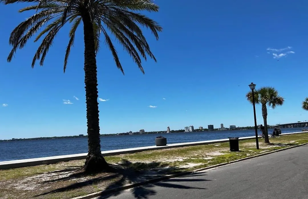 Modern 2 Bedroom Condo - 2 Block From San Marco-1