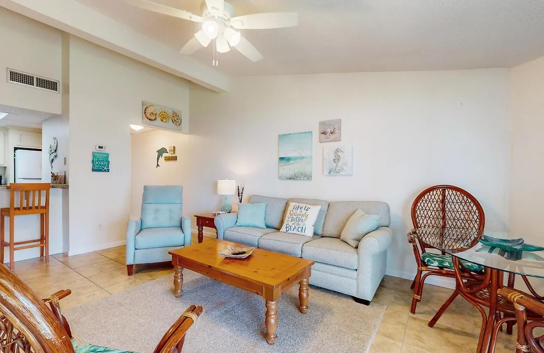 Sand Dollar E205-1