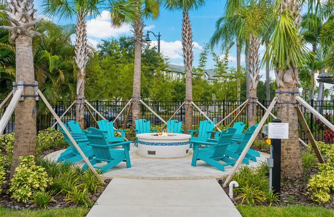 Florida Palms-1