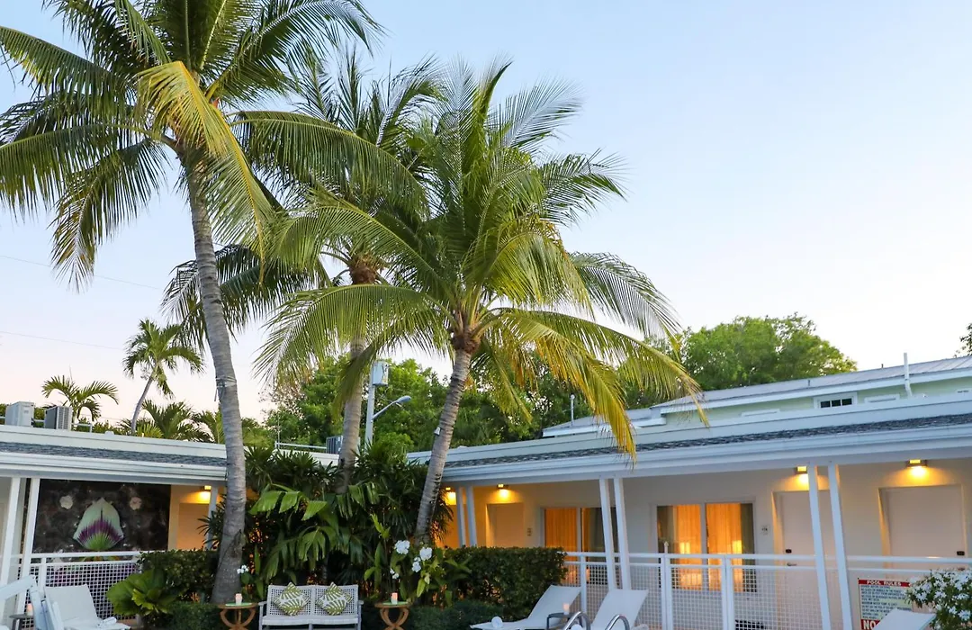 Orchid Key Inn - Adults Only-1