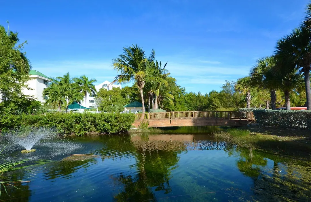 Sunrise Suites Big Kahuna Suite #202-1