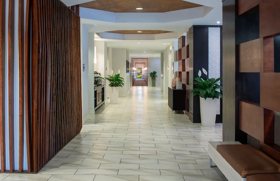 Springhill Suites By Marriott Orlando Convention Center-1