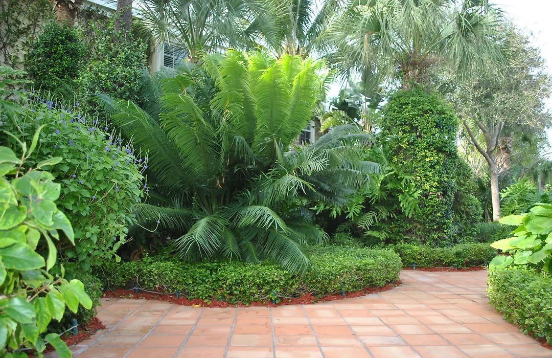 The Caribbean Court Boutique Hotel-1