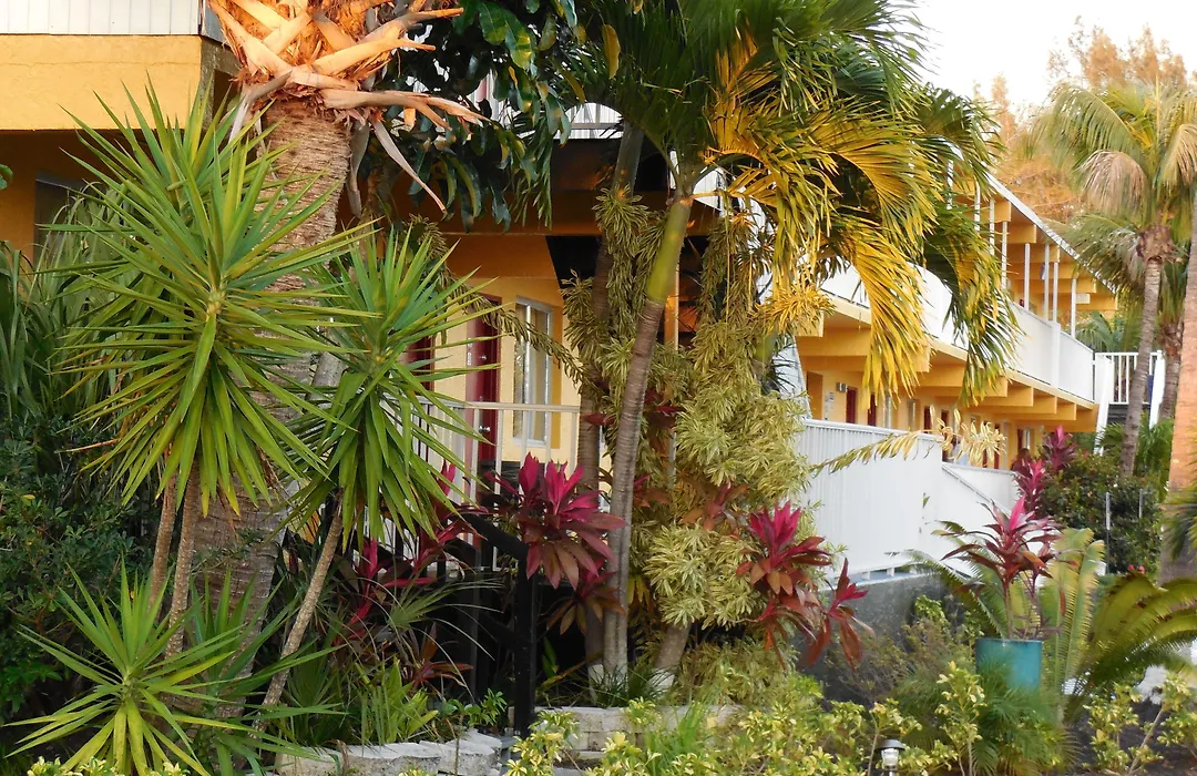 Budget Inn Punta Gorda-1