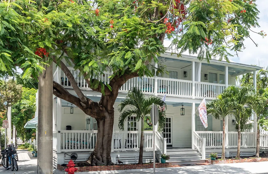 The Porch On Frances Inn - Adults Exclusive-1