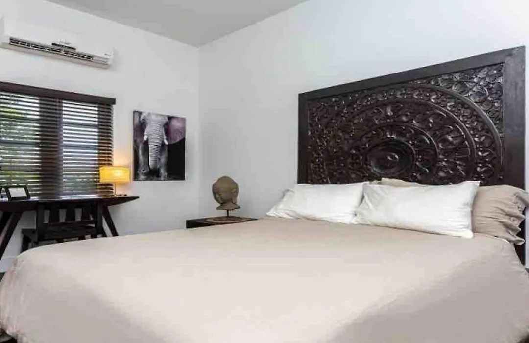 Vive Zen Queen Room-1