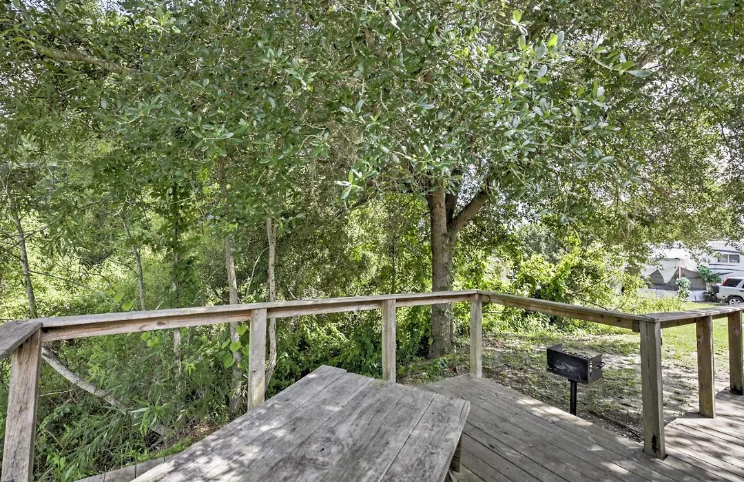 Charming Silver Springs Cabin With Forest Views!-1