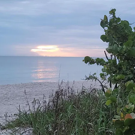 Our Naples Hideaway-2