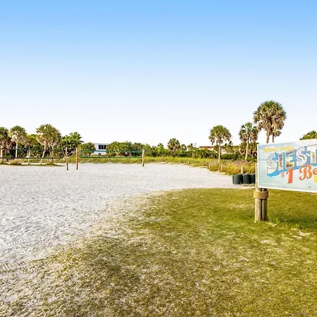 Blue Palm-3