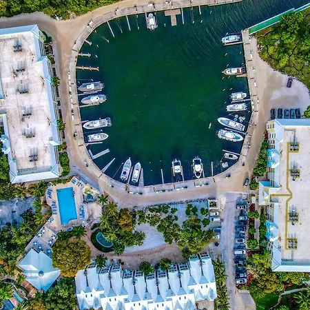 Emerald Palm-2