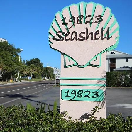 Seashell 12-3