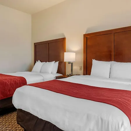 Comfort Inn & Suites Fort Myers Airport-3