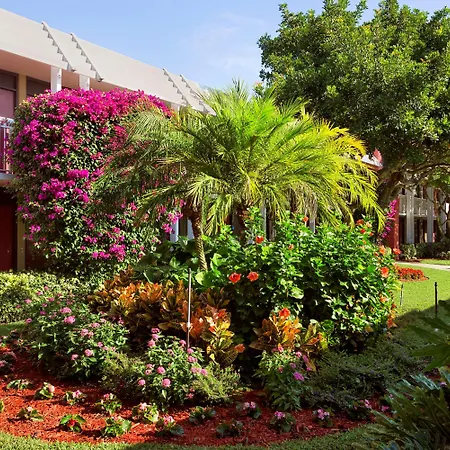 Collins Hotel Naples-3