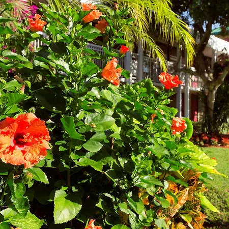 Collins Hotel Naples-2