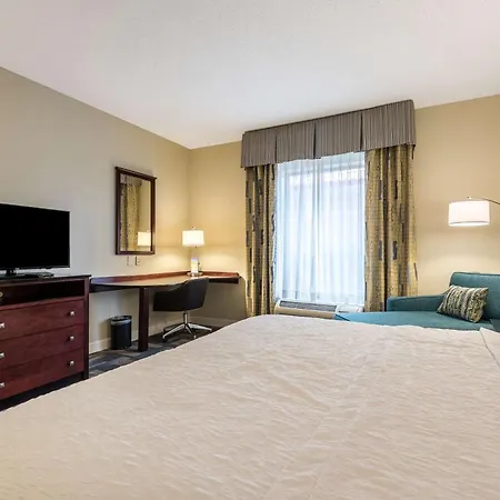 Hampton Inn & Suites Orlando-South Lake Buena Vista-3