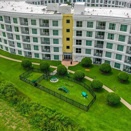 Pet Friendly In Orlando Area Near Disney-3