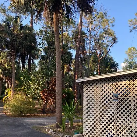 “Zoe'S Place” Beautiful Private Studio Surrounded By Nature-3