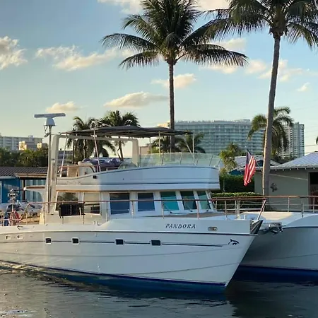 Boat Trip Adventure In Florida-3
