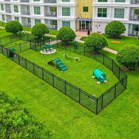 Pet Friendly In Orlando Area Near Disney And Espn Center-3