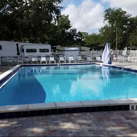 Cozy Tiny Home Near Disney World & Orlando Parks!-3