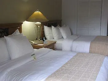 Paradise Inn (Adults Only)-2