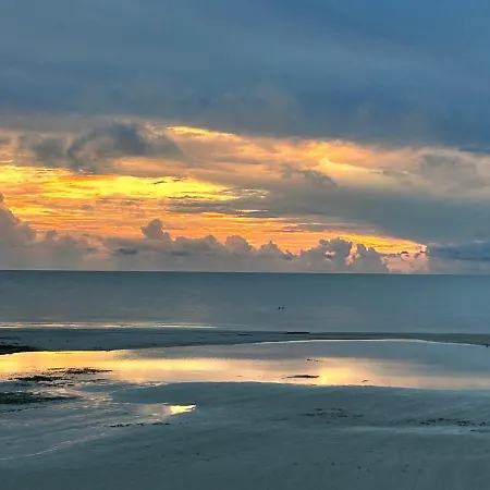 Always Summer On A White Sandy Beach-2