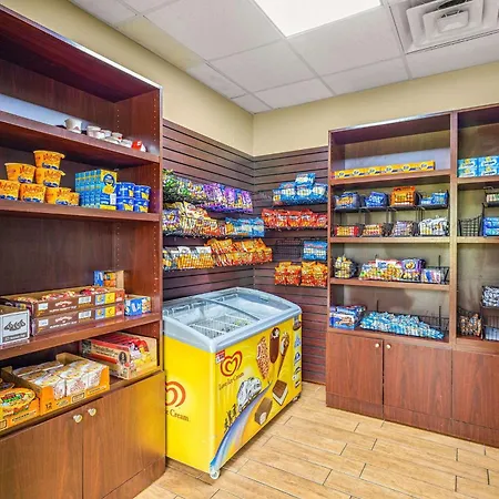 Quality Inn & Suites Tampa Near Fairgrounds And Casino-3