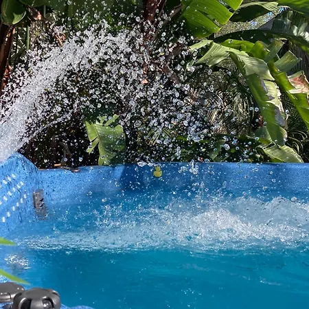3Gulls Inn Ozona-Boutique Hotel-Steps From Restaurants & Brewery-Swimspa Pool-Pet Friendly-2